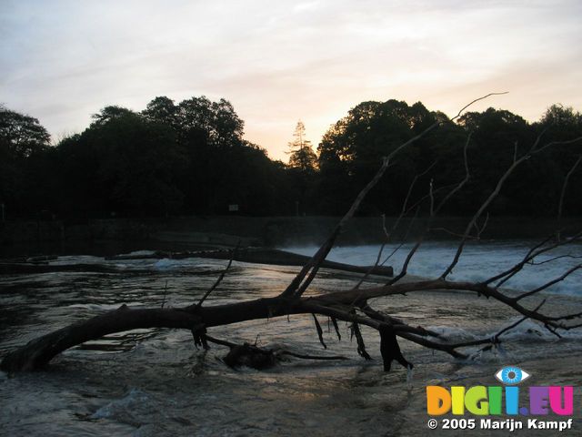 15098 Tree stuck on weir